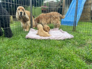 first time outside