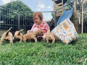first time outside