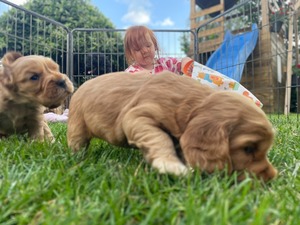 first time outside